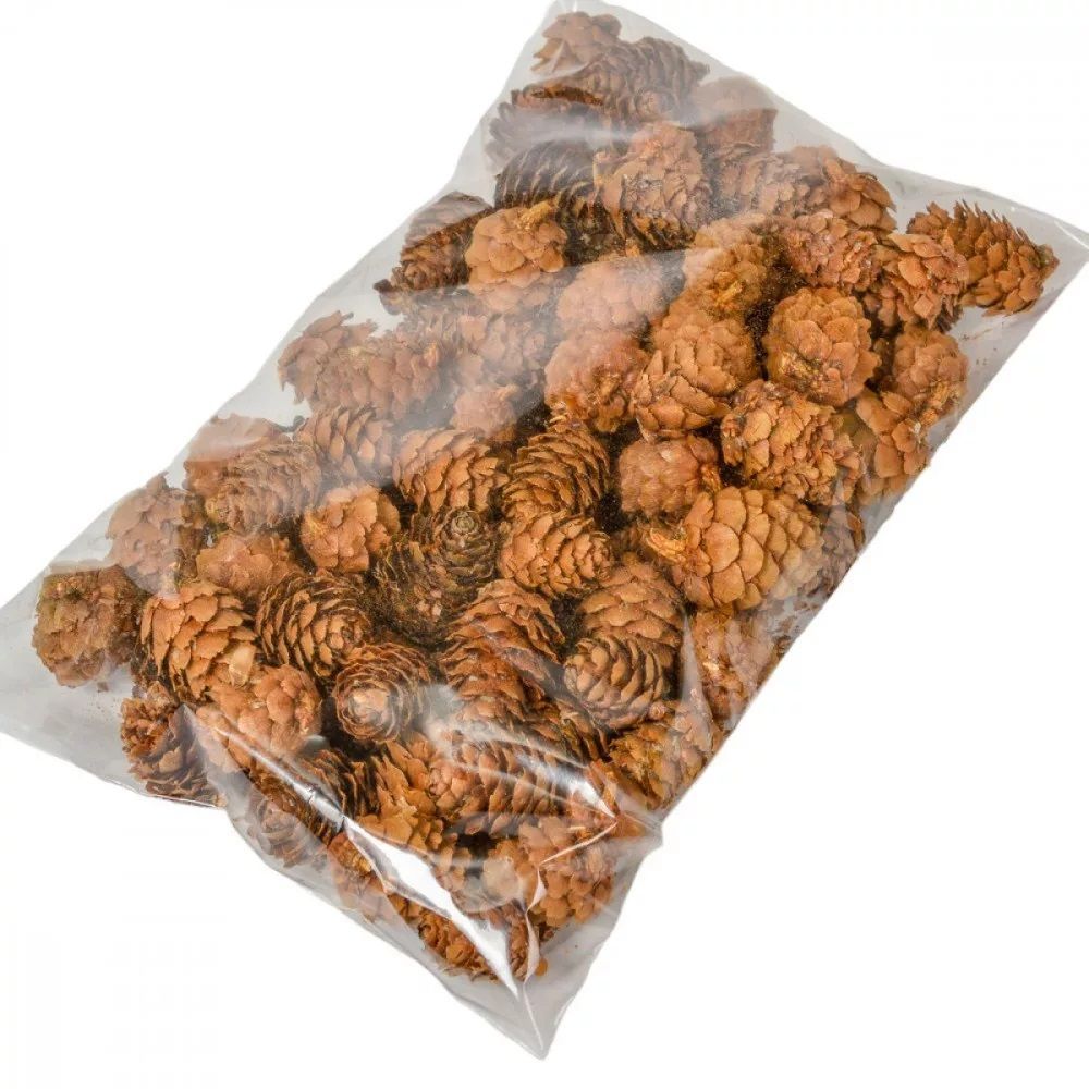 Vörösfenyő toboz - Natúr