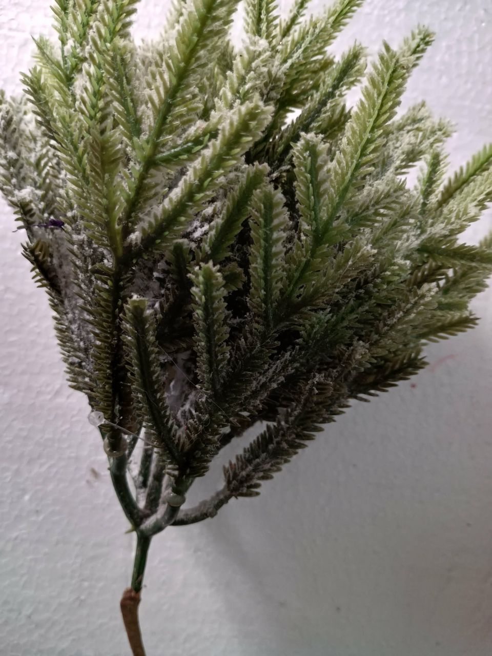 Fenyőág havas 38 cm