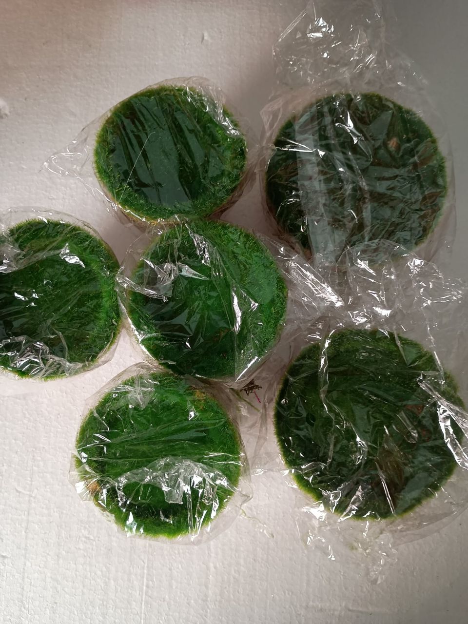 Mohás cserép 7 db-os csomag