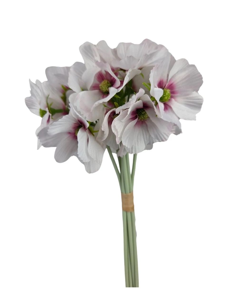 Pillangóvirág köteg - 6 színben Pillangóvirág köteg - 6 színben