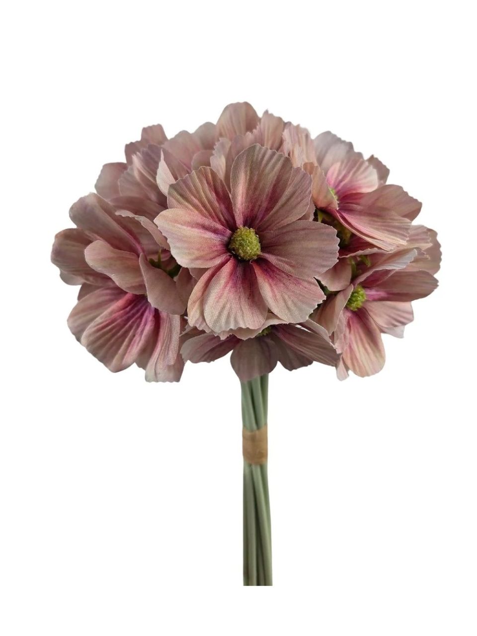 Pillangóvirág köteg - 6 színben Pillangóvirág köteg - 6 színben