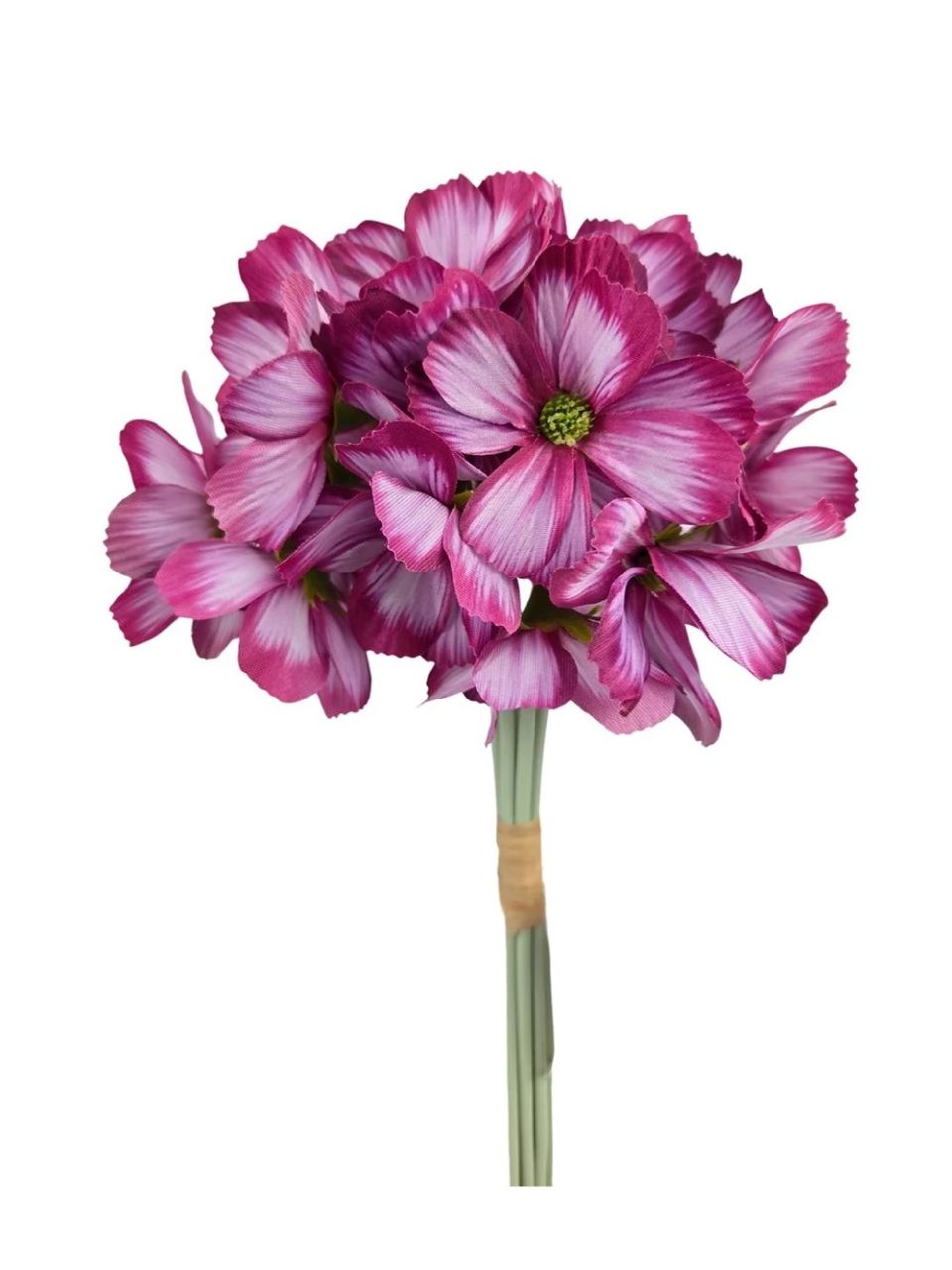 Pillangóvirág köteg - 6 színben Pillangóvirág köteg - 6 színben