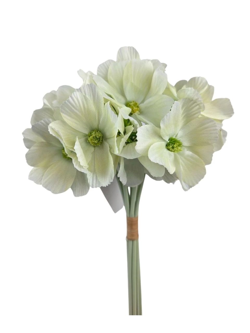 Pillangóvirág köteg - 6 színben Pillangóvirág köteg - 6 színben