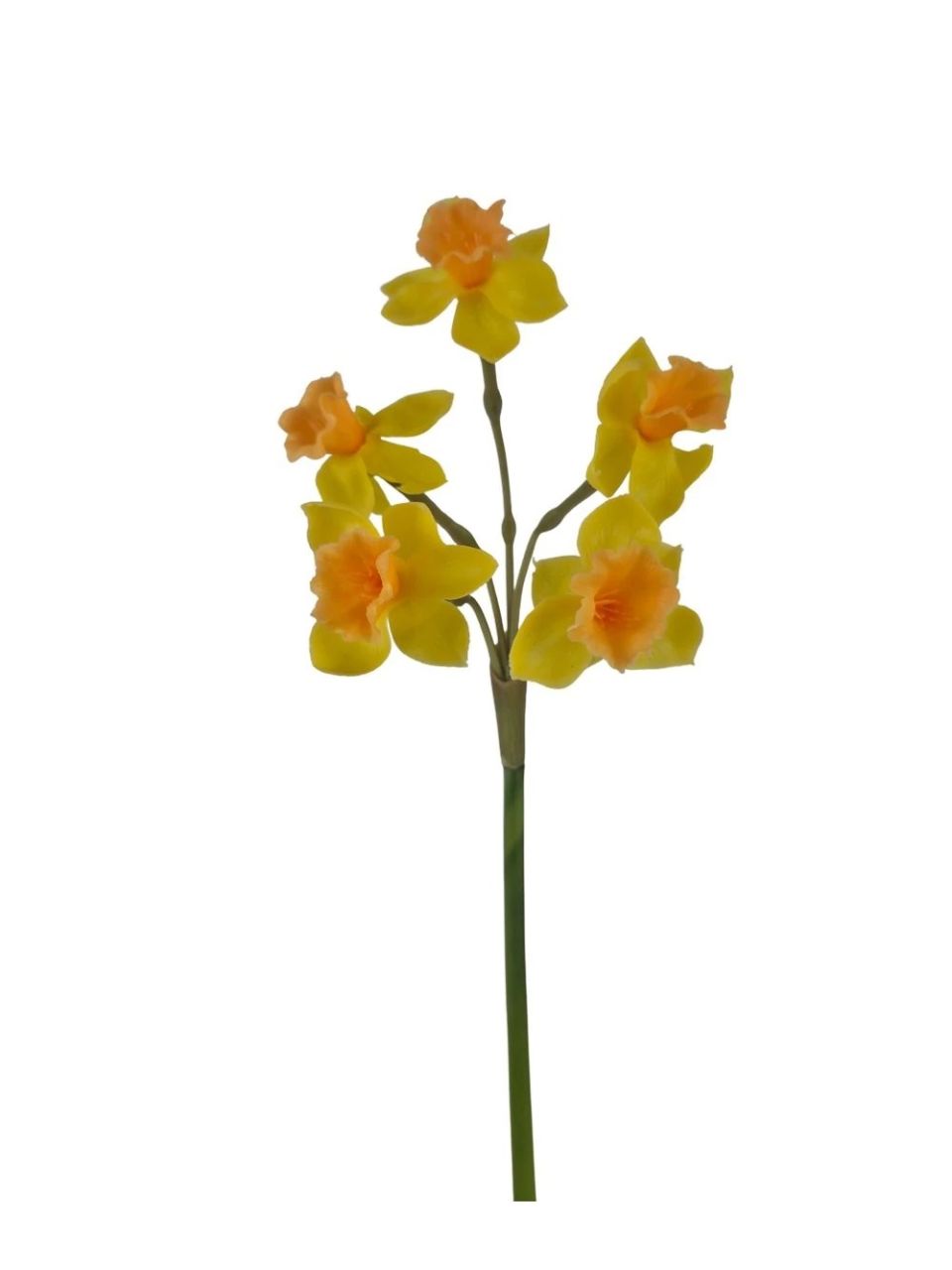 Szálas gumi nárcisz -2 színben Szálas gumi nárcisz -2 színben