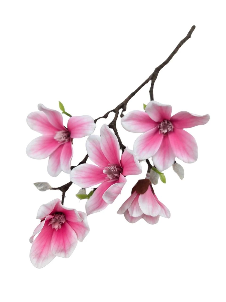 Magnólia ág B - 2 színben