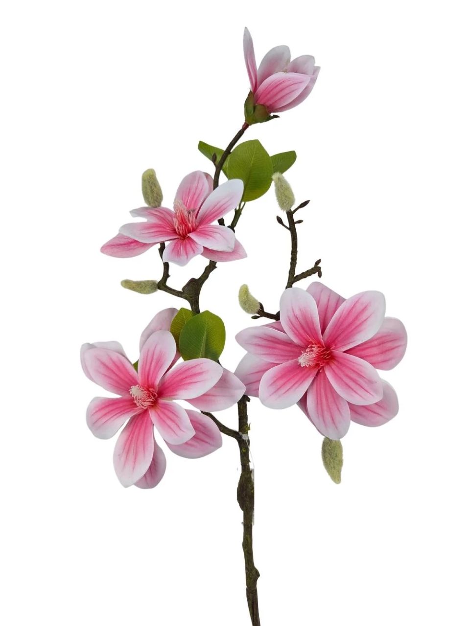 Magnólia ág A - 3 színben