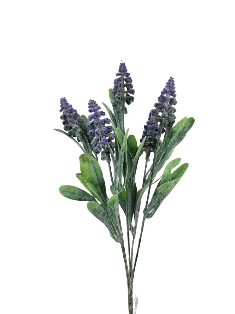 Gyöngyike - 3 színben