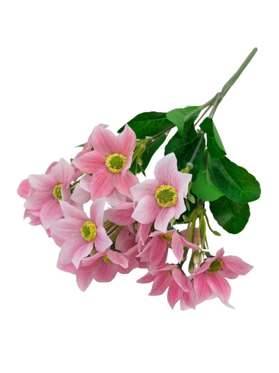 Nebáncsvirág csokor A - 5 színben