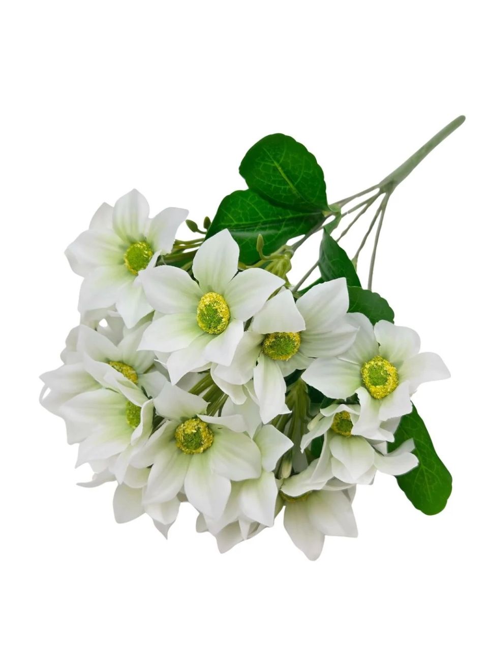 Nebáncsvirág csokor A - 5 színben