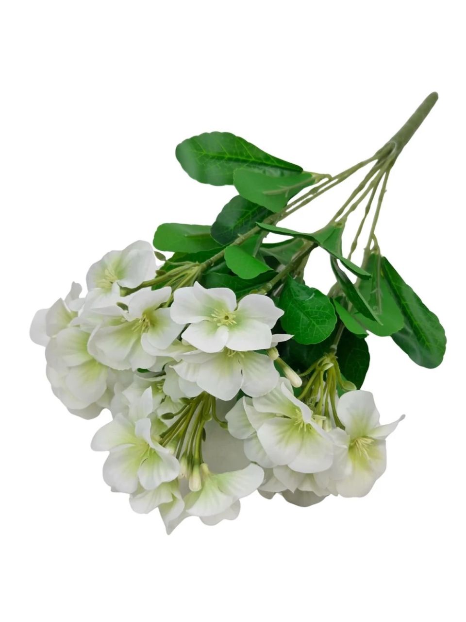 Nebáncsvirág csokor B - 5 színben