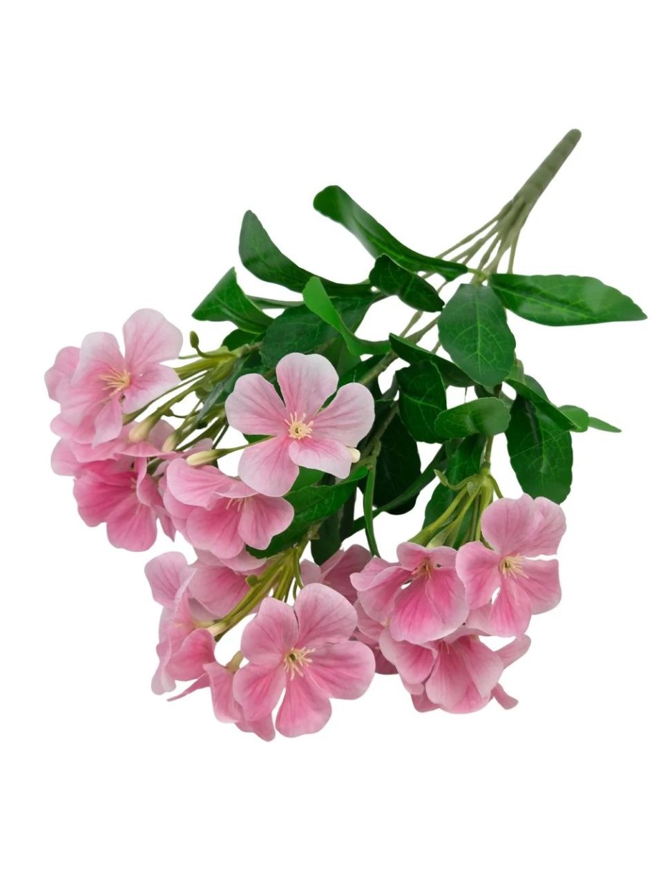 Nebáncsvirág csokor B - 5 színben