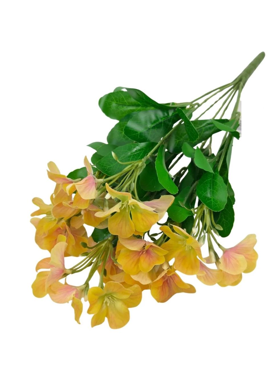 Nebáncsvirág csokor B - 5 színben