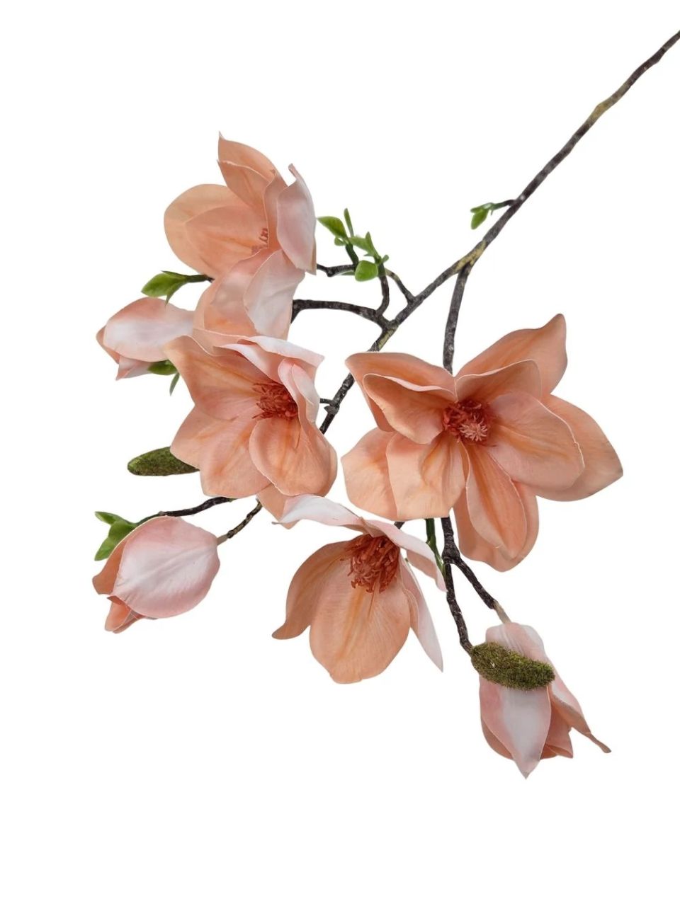 Magnólia ág G - 6 színben