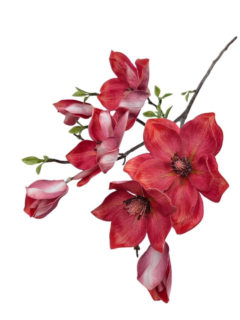 Magnólia ág G - 6 színben