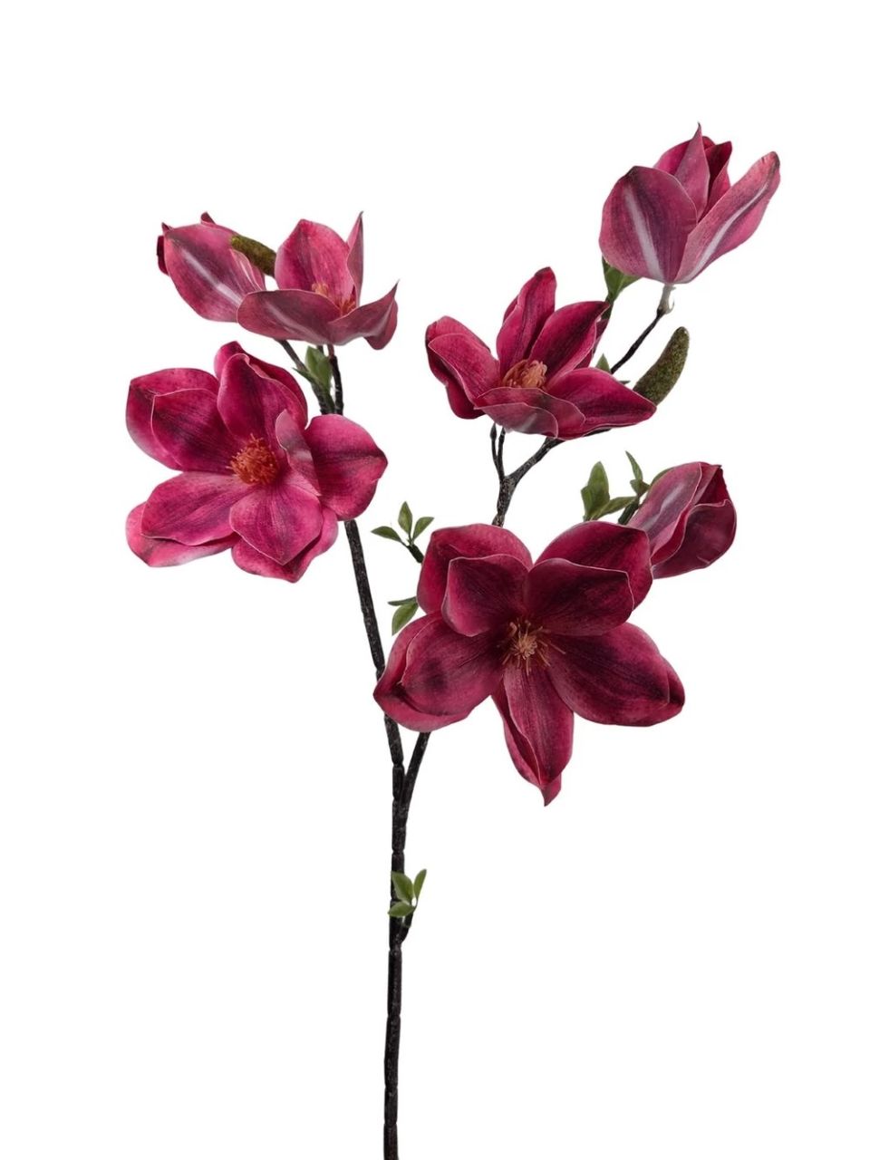 Magnólia ág G - 6 színben