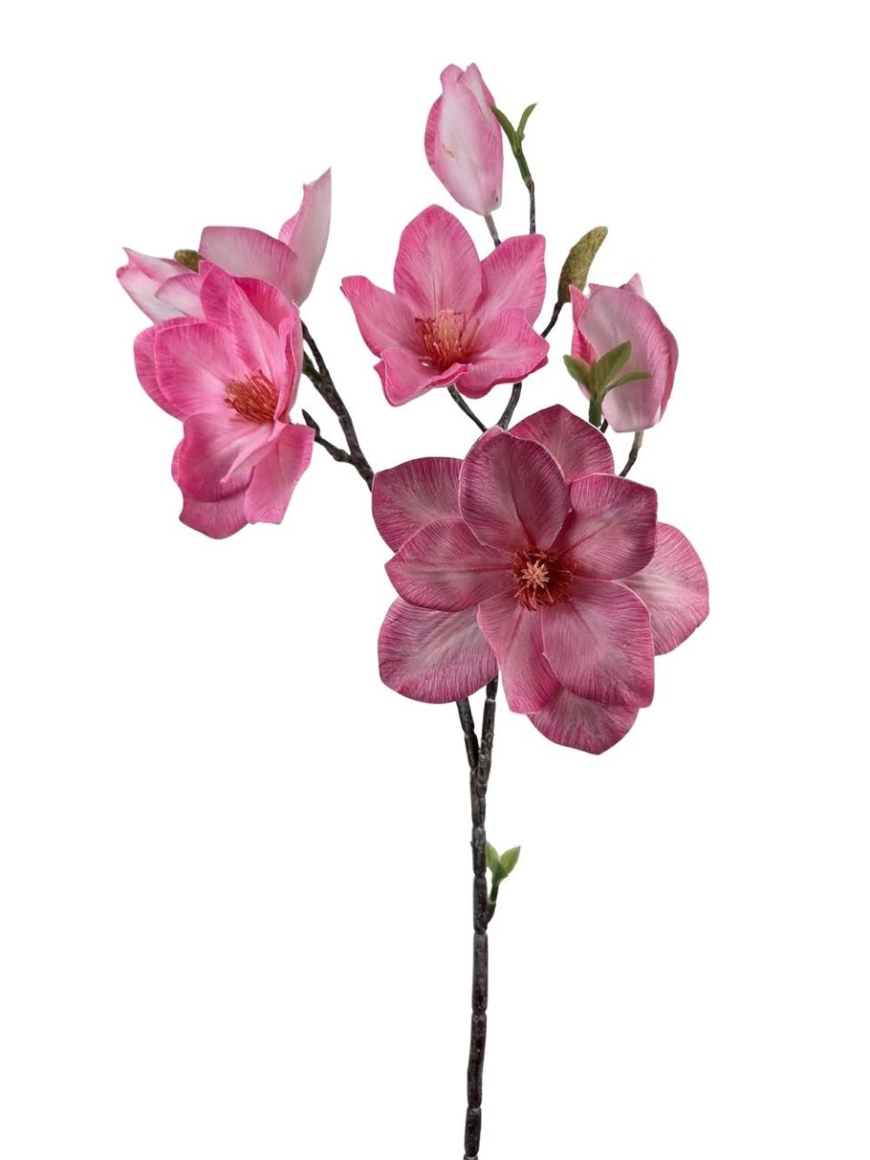 Magnólia ág G - 6 színben