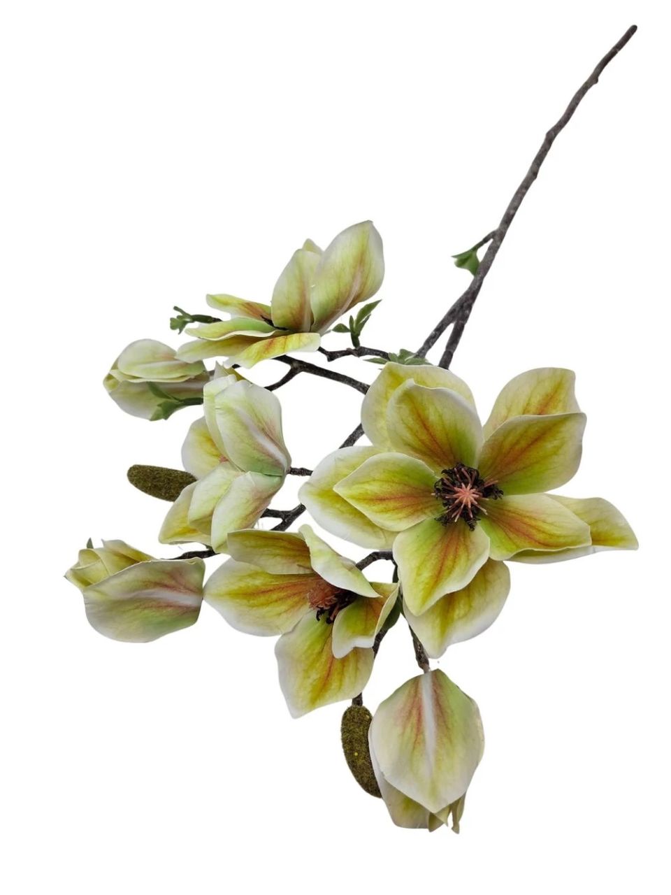 Magnólia ág G - 6 színben