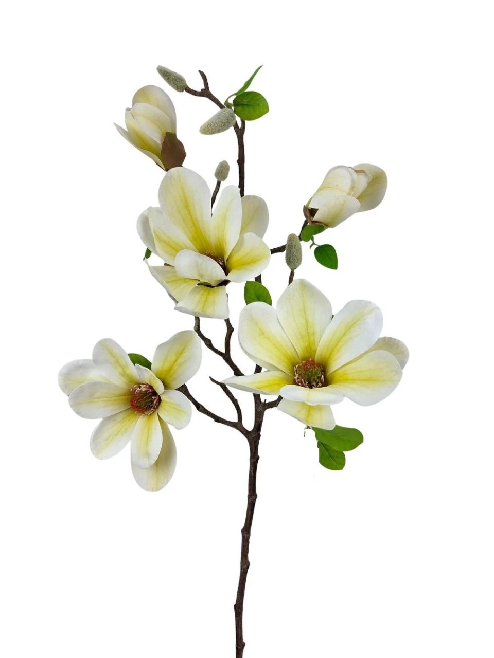 Magnólia ág E- 3 színben