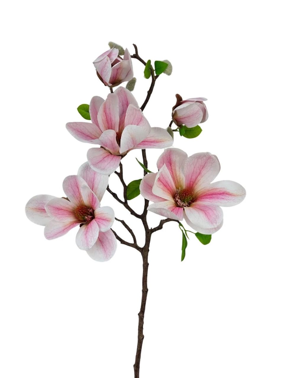 Magnólia ág E- 3 színben