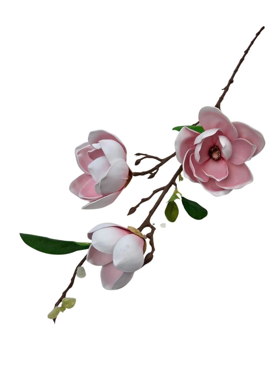 Magnólia ág F - 2 színben