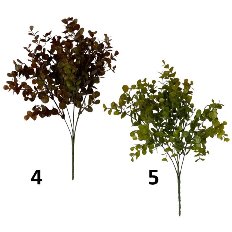 Eukalyptus bokor x5 37cm - 5 zínben