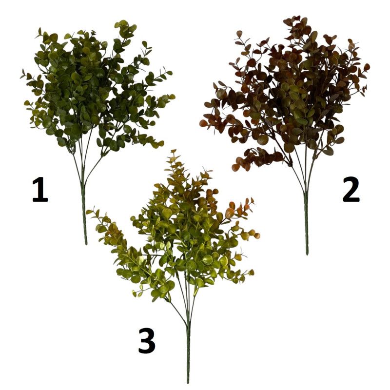 Eukalyptus bokor x5 37cm - 5 zínben