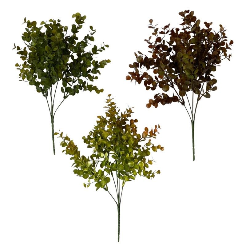 Eukalyptus bokor x5 37cm - 5 zínben