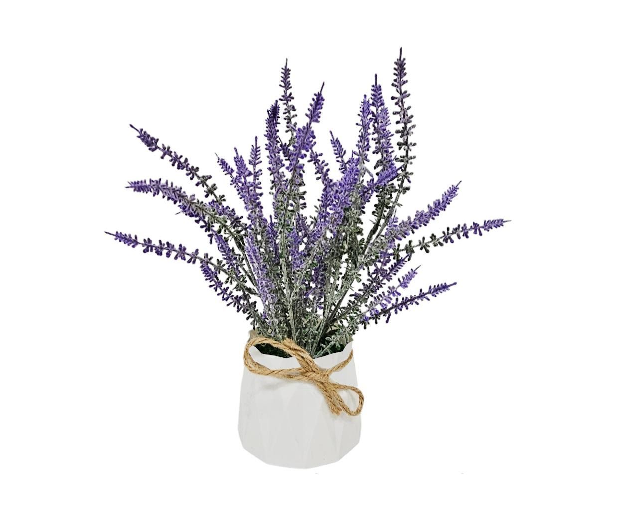Levendula kaspóban 26cm