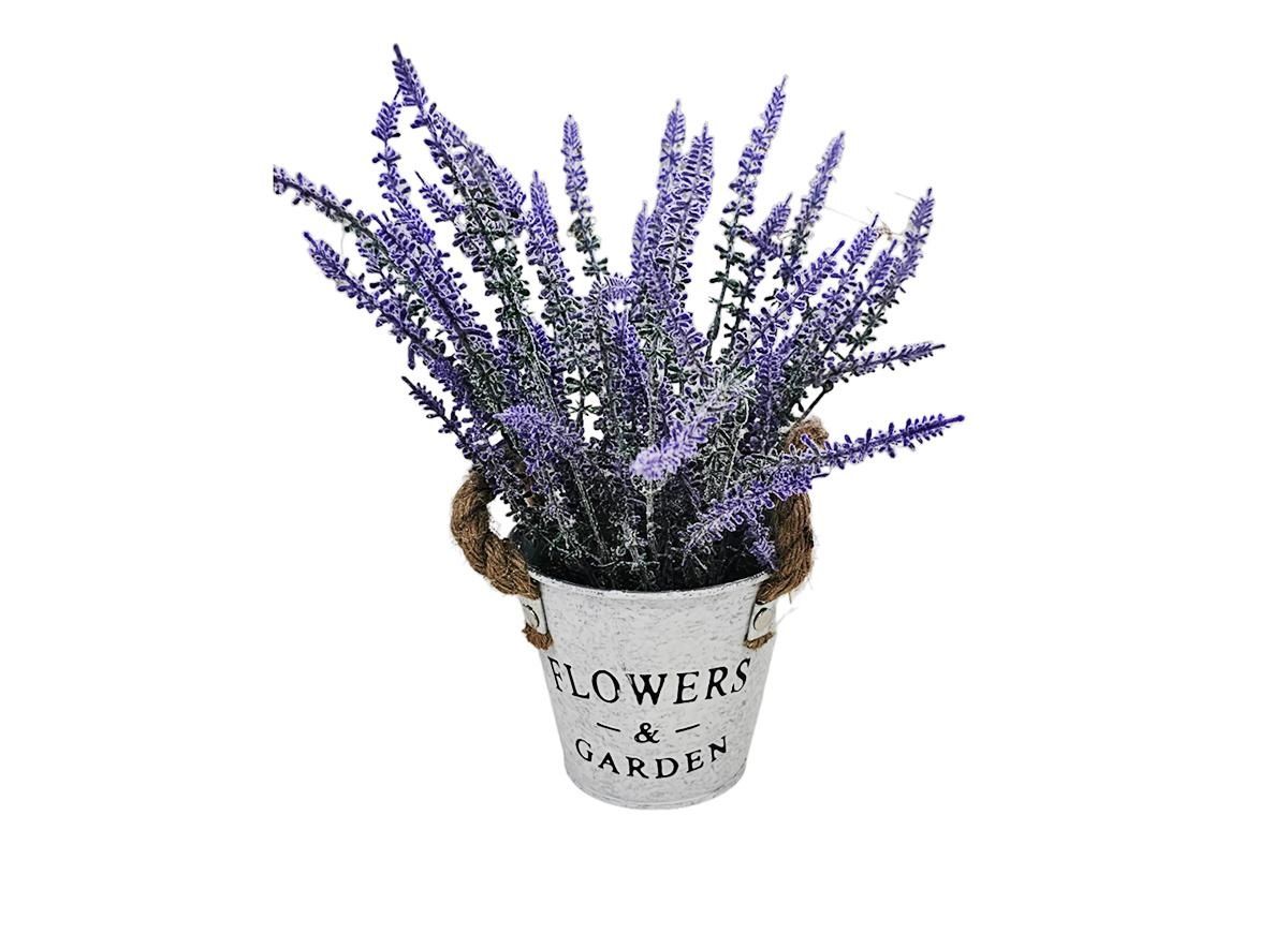Levendula kaspóban 28cm
