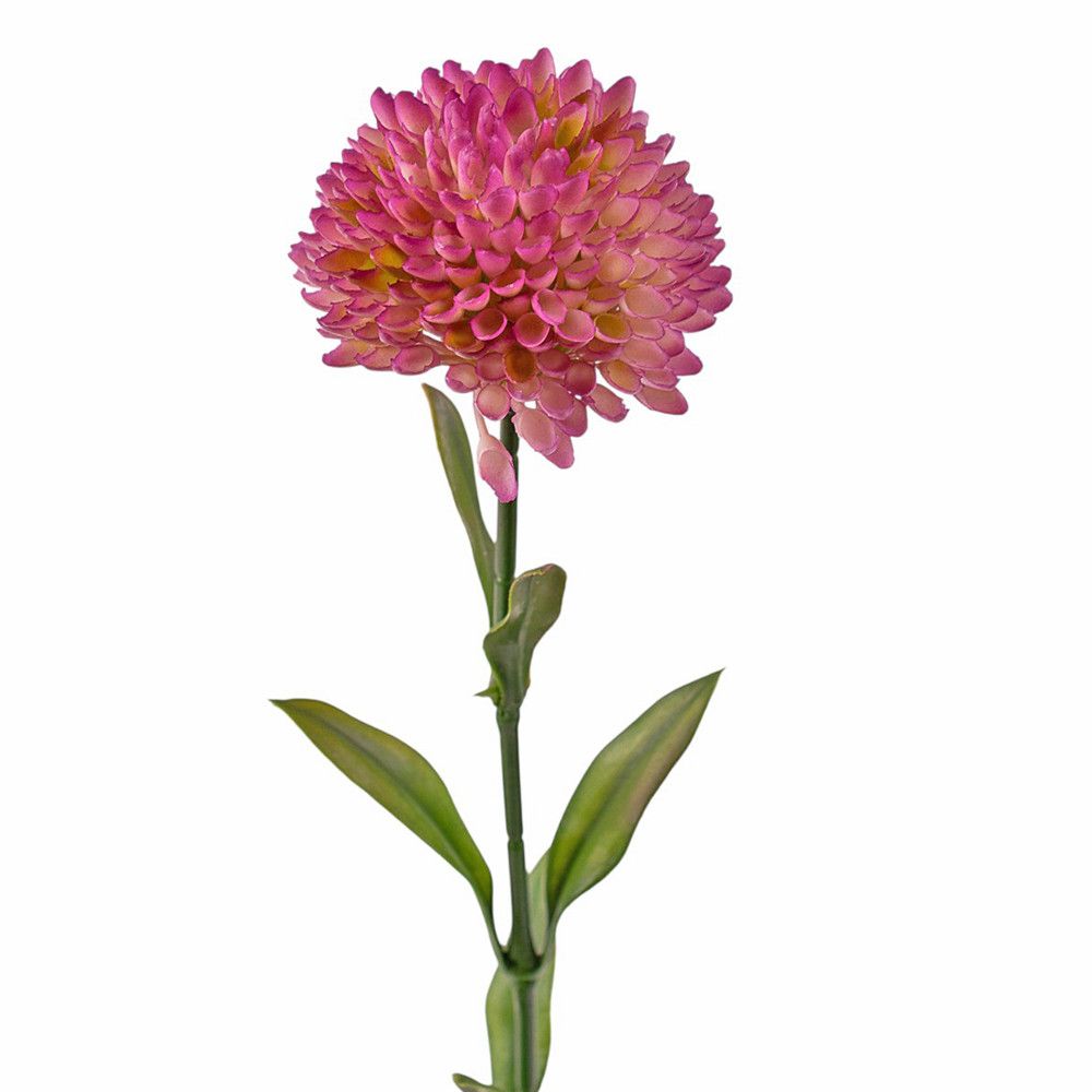 Dália szál 50cm - 6 színben