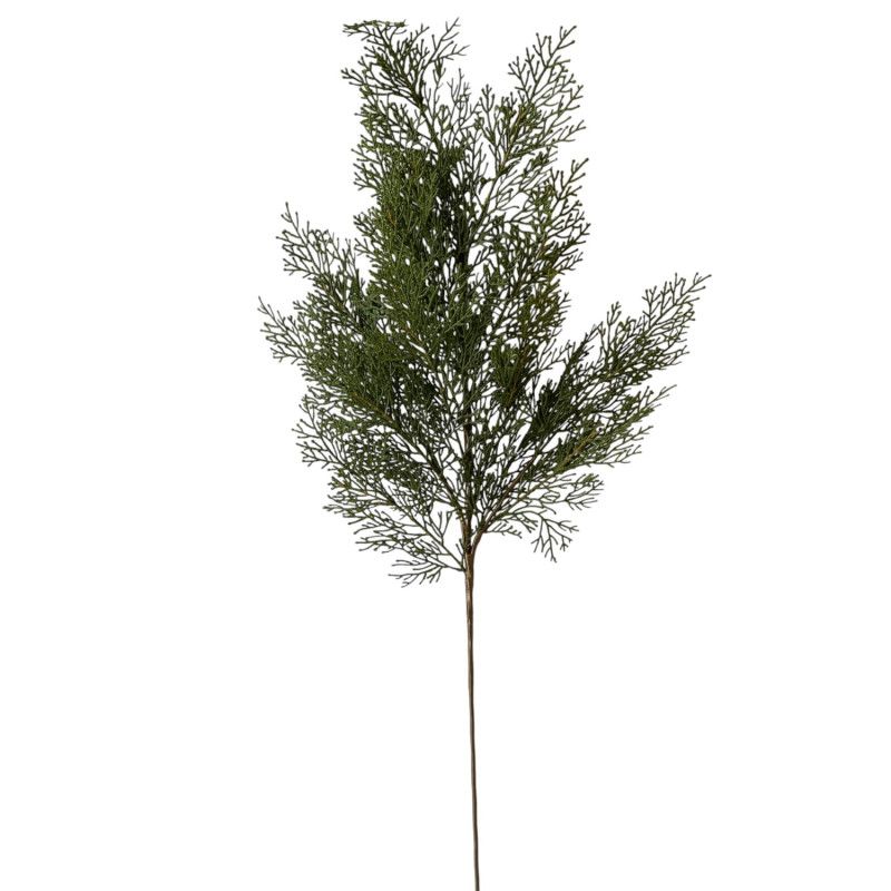 Tuja ág 88cm Tuja ág 88cm