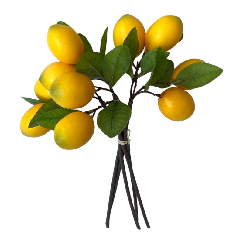 Citromos kötegelt ág x5 34cm