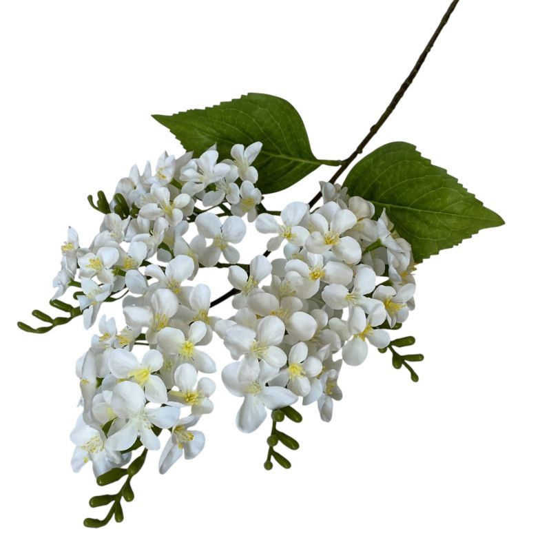 Barackág 68cm Barackág 68cm