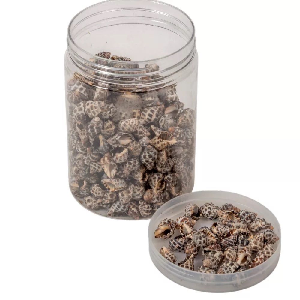 Kagyló barna-szürke 250g