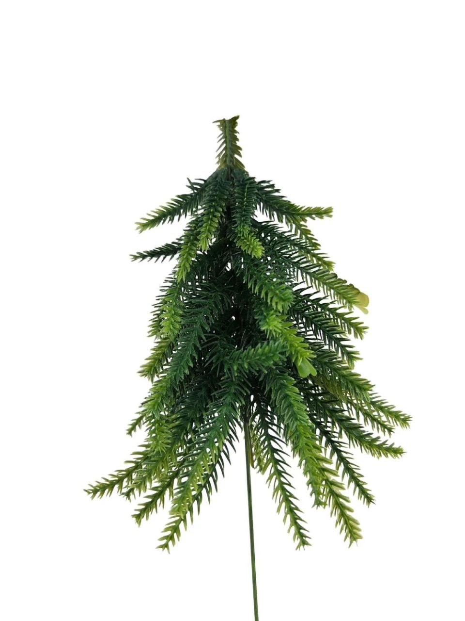 Drótszáras fenyőfa - 18 cm Drótszáras fenyőfa - 18 cm