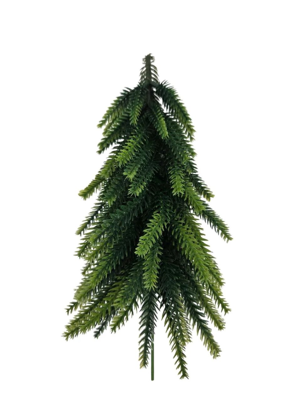 Drótszáras fenyőfa - 18 cm Drótszáras fenyőfa - 18 cm