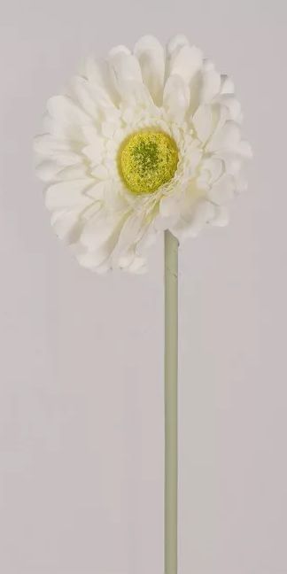 Szálas mini gerbera 36cm -Fehér Szálas mini gerbera 36cm -Fehér