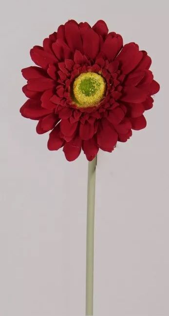 Szálas mini gerbera 36cm -Piros Szálas mini gerbera 36cm -Piros