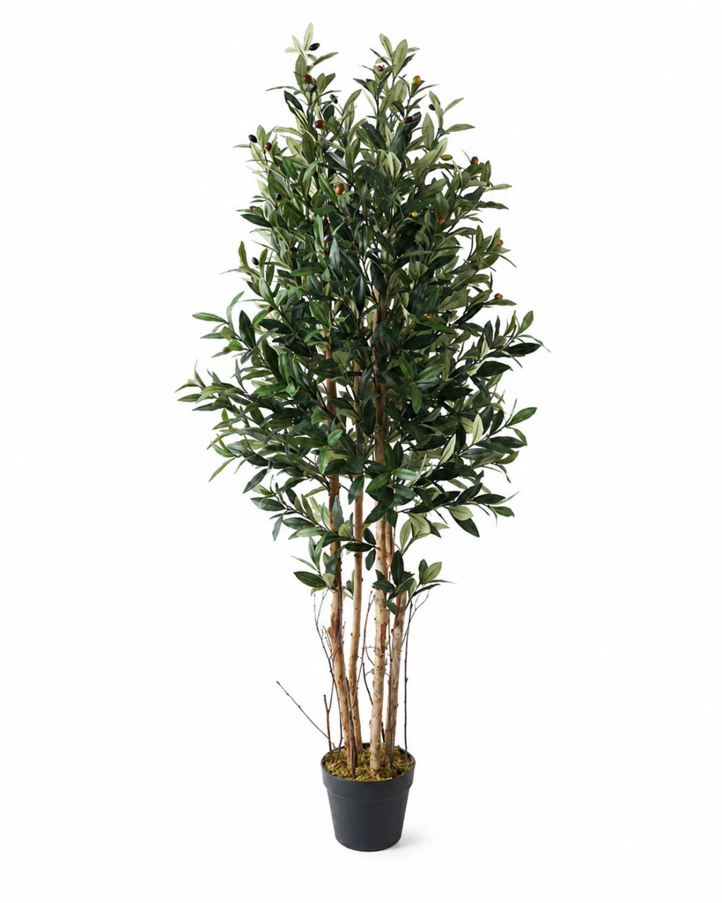 Mű olajfa 4 törzzsel 1584 levéllel zöld-khaki 149 cm Mű olajfa 4 törzzsel 1584 levéllel zöld-khaki 149 cm