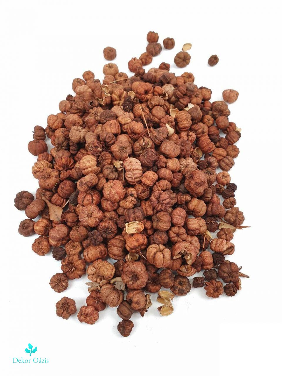 Putka pod szárított termés / Liliputi tök - Barna Putka pod szárított termés / Liliputi tök - Barna